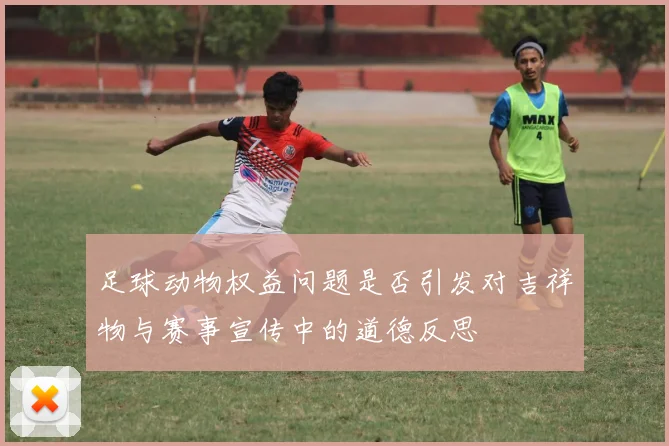 足球动物权益问题是否引发对吉祥物与赛事宣传中的道德反思